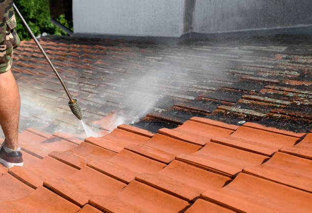 Best Local Pressure Washing Services  in Gateway, FL